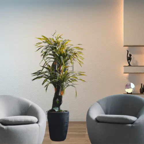 Relaxation Centre