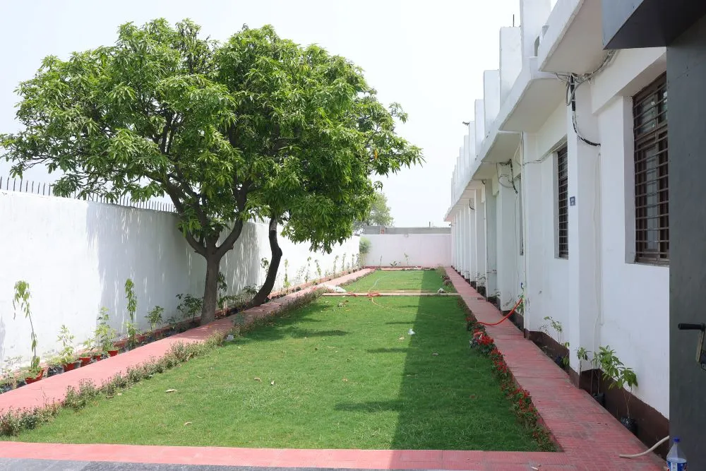 Garden
